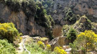 scate del Catafurco-17-06-2015 17-09-24